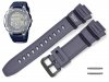CASIO WV-200A-2AV WV-200E-2AV oryginalny pasek 16 mm